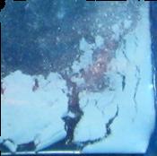 Clonazepam sample 7510