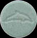 Dolphin (Blue) sample 768