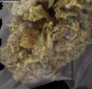 Cannabis sample 7708