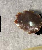Brown Tar-Like Material sample 7719