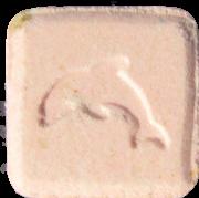 Dolphin sample 7779