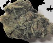 Cannabis sample 7862