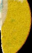 Filz sample 7878