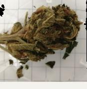 Cannabis sample 7920