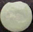 Fish (green) sample 796