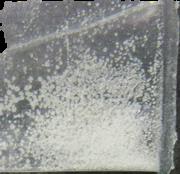 JWH-018 sample 8031