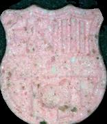 FC Barcelona sample 8057