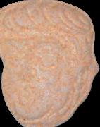 Trump sample 8066