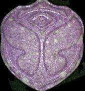 Tomorrowland sample 8068