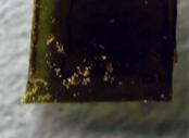 Needlepoint pill — lab-tested sample