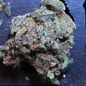 Fake Cannabis sample 8159
