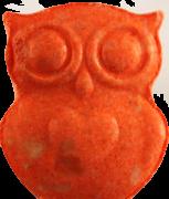 Eule sample 8254