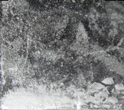 Anesket sample 8378