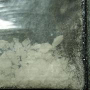 Indian Ketamine sample 8390