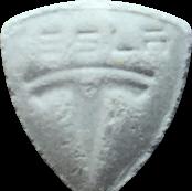 Tesla sample 8448
