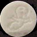 Casper sample 848