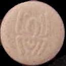 Spider sample 849