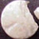 White Wafer sample 84