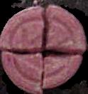 Motorola (Pink) sample 854