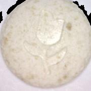 Tulpe sample 8587