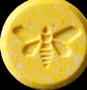 Moth sample 8716