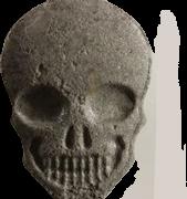 MyBrand Skull sample 8729