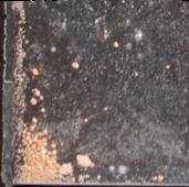 Suboxone pill — lab-tested sample