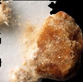 Dope/Fentanyl sample 8787