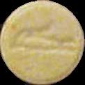 Crocodile sample 879