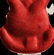 Tulpe sample 8822