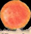 Filz sample 8897
