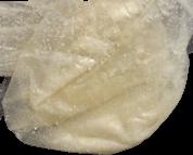Yellow Granules sample 9095