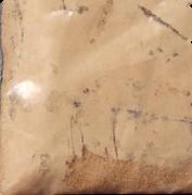 Owl sample 9139