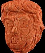 Donald Trump sample 9435