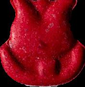 Tulpe sample 9441