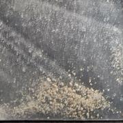 Heroin/Fentanyl sample 9475