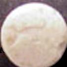 Dolphin sample 95