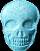 Skull sample 9612