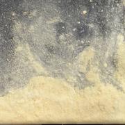 Clam pill — lab-tested sample