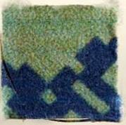 Maya sample 9864
