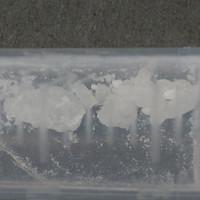 3-Cl-PCP sample 9987