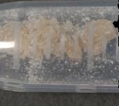 3-HO-PCP sample 9988