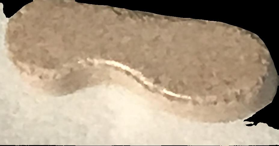 Oreo (Beige) - 2C-B 13mg (Front) sample 2020-11-10_oreo_beige