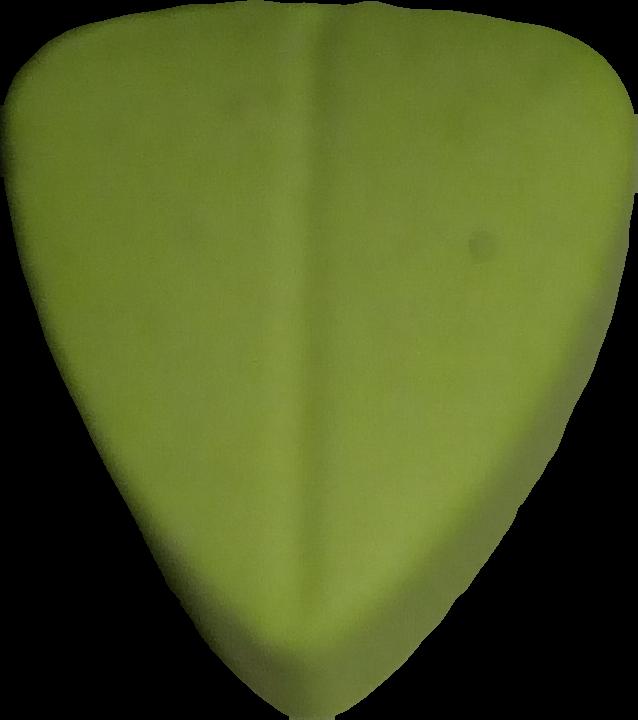 Red Bull (Verde Claro) - MDMA 212mg (Front) sample 2021-02-09_redbull_verdeclaro