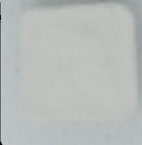 (Blanco) (Front) sample 2021-03-11_noidentificable_blanco