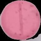 (Rosa) - 2C-B 24mg (Front) sample 2021-04-15_noidentificable_rosa