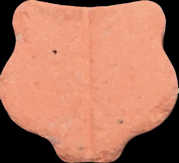 Tigre (Naranja) - MDMA 191mg (Front) sample 2021-08-31_tigre_naranja