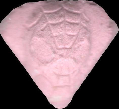 Spiderman (Rosa Claro) - MDMA 121mg (Front) sample 2021-10-26_spiderman_rosaclaro