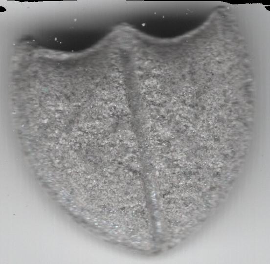 Dom Perignon (Gris) - MDMA 145mg (Front) sample 2021-11-29_domperignon_gris