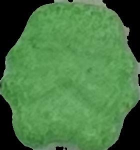 Tropper (Verde Claro) - MDMA 175mg (Front) pill — lab-tested sample